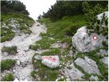 Planina Podvežak - Kapelica na Molički planini